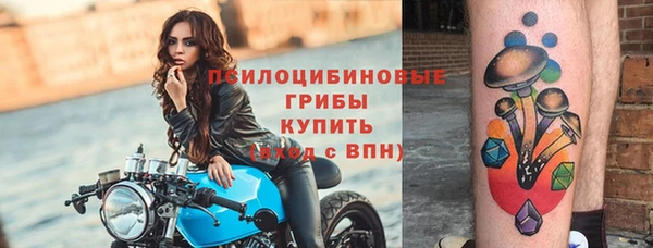 прущая мука Абаза