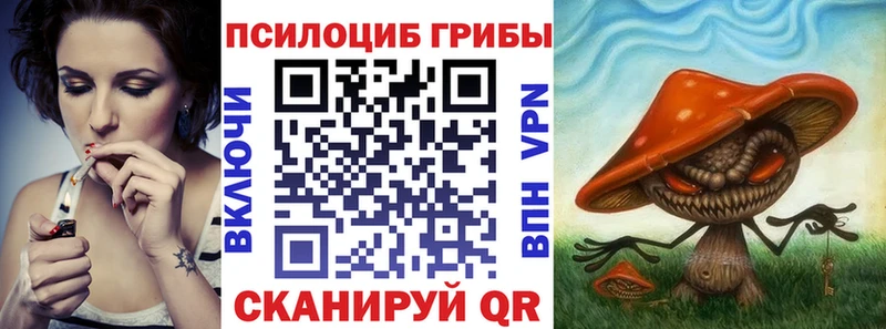 Галлюциногенные грибы Psilocybine cubensis  Сергач 